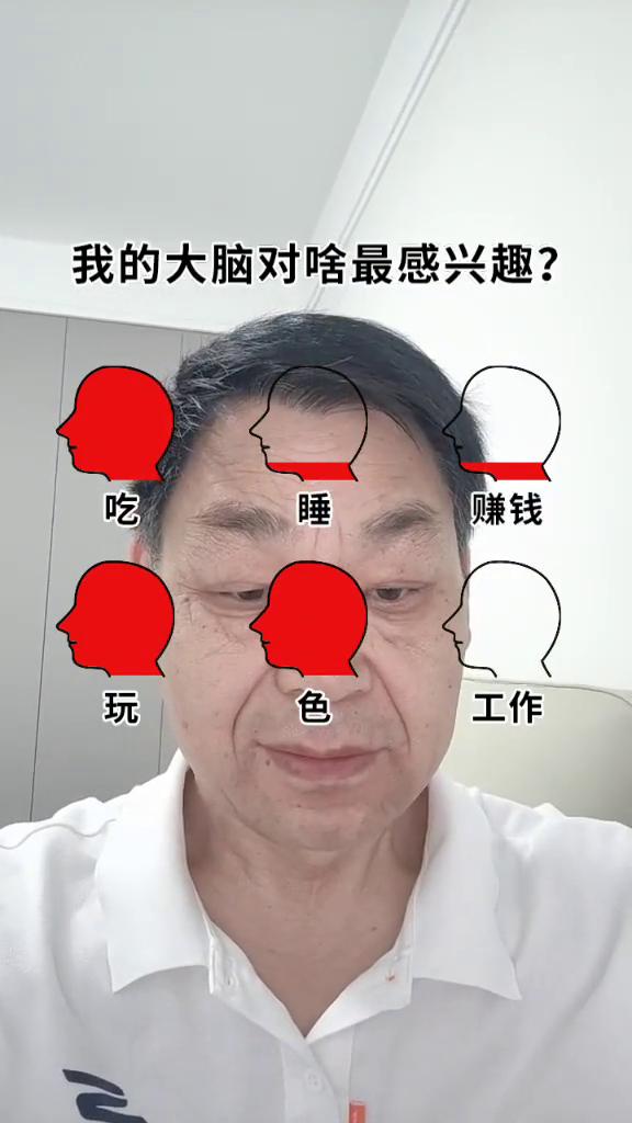 我的大脑对啥最感兴趣？
吃、睡、赚钱、玩、色、工作。