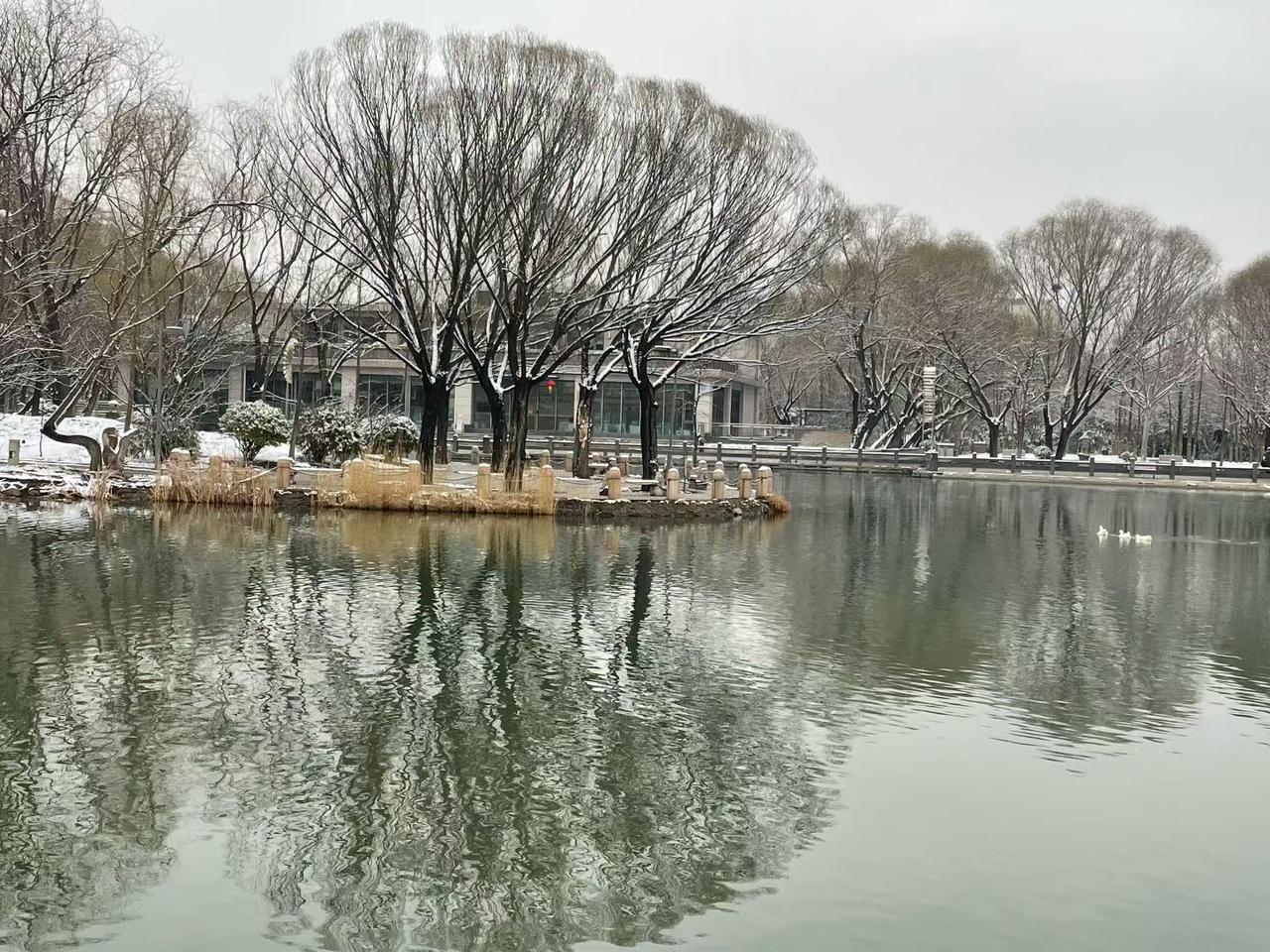 晒图笔记大赛三月春雪，温馨浪漫[玫瑰][玫瑰]