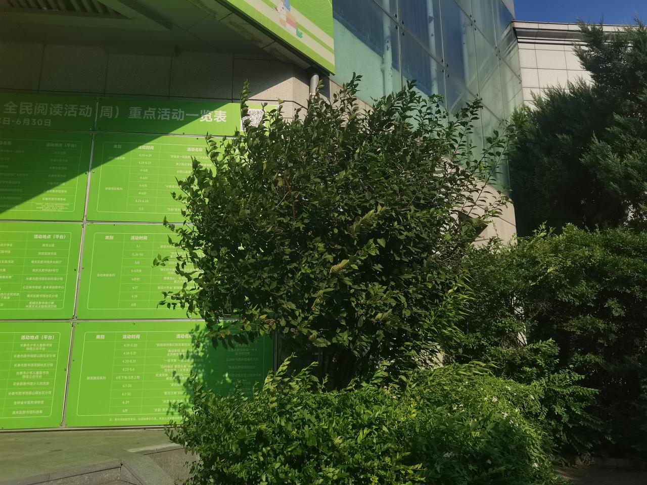 说句实话，我也挺佩服沐风燕子的文笔以及风趣的生活记录。

但是，我不赞成她老公出