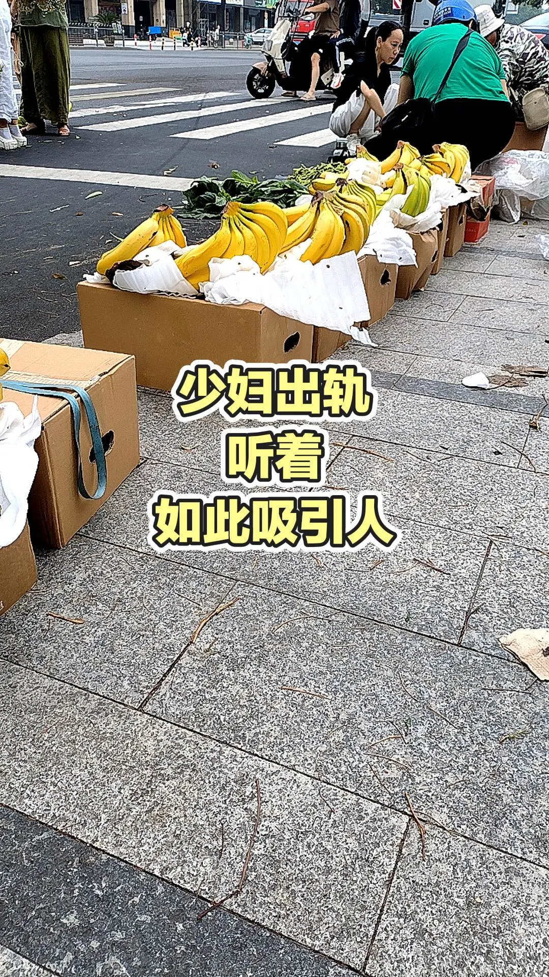 每日分享