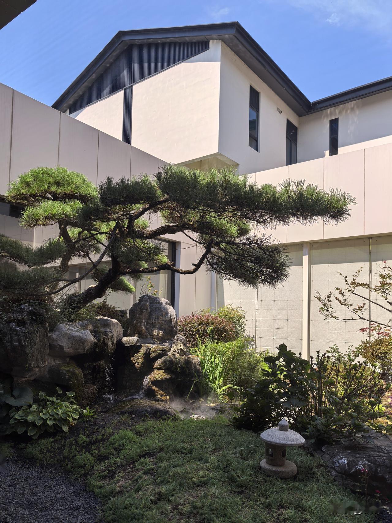 天目湖安悦酒店，溧阳非常低调的酒店，藏在280亩的山林湖畔。我从常州市区打车过来