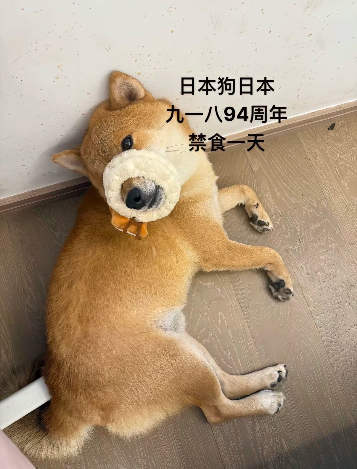 刷到好多“禁食”八嘎 ​​​