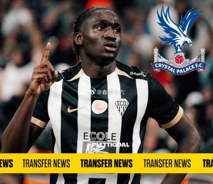 罗马诺：水晶宫首次报价昂热19岁前锋谢里夫，金额2000万欧元足球 1月16日讯