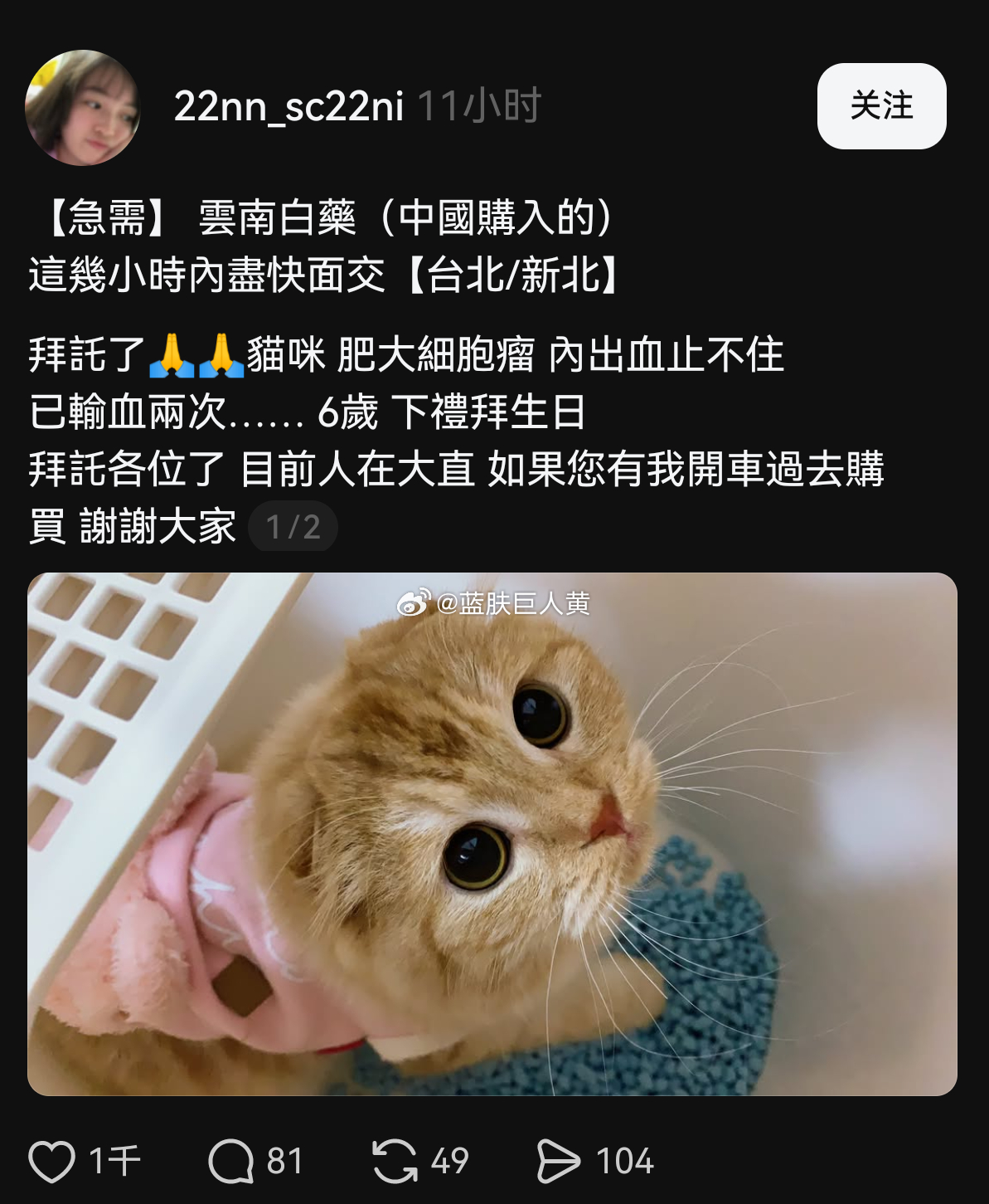 经常刷到台湾人求代购云南白药的帖子 