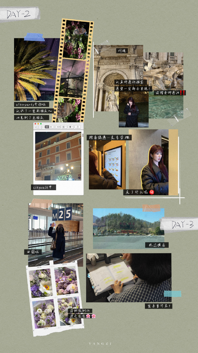 杨紫罗马拼贴plog 杨紫罗马拼贴plog，杨紫的罗马日常送达，记录每一刻的美好