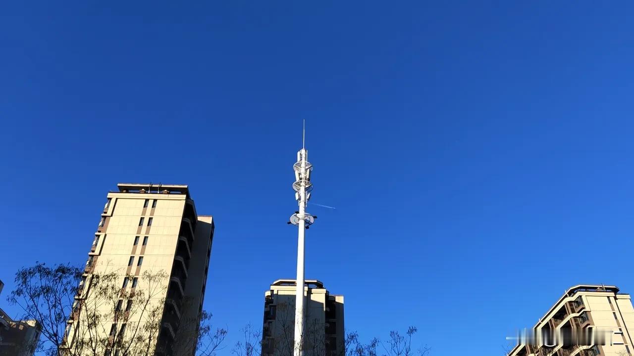 随手拍漂亮的红叶