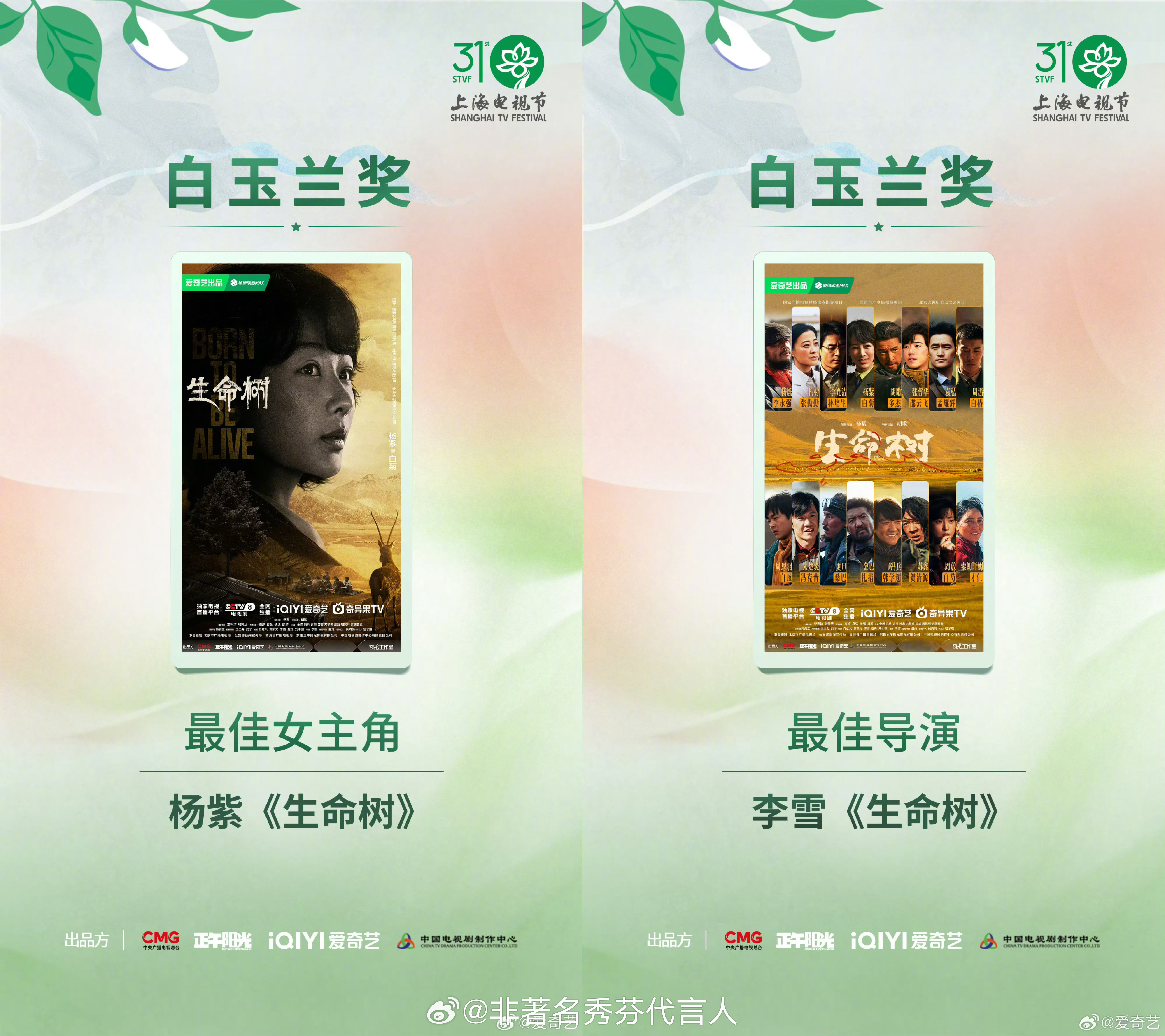 白玉兰最大赢家爱奇艺 连续多年深耕演技不断打磨自我，杨紫靠着爱奇艺出品的《生命树