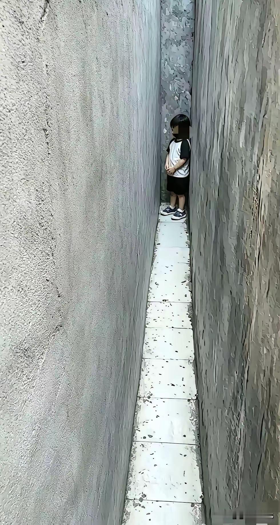 有本事你进来[捂脸]