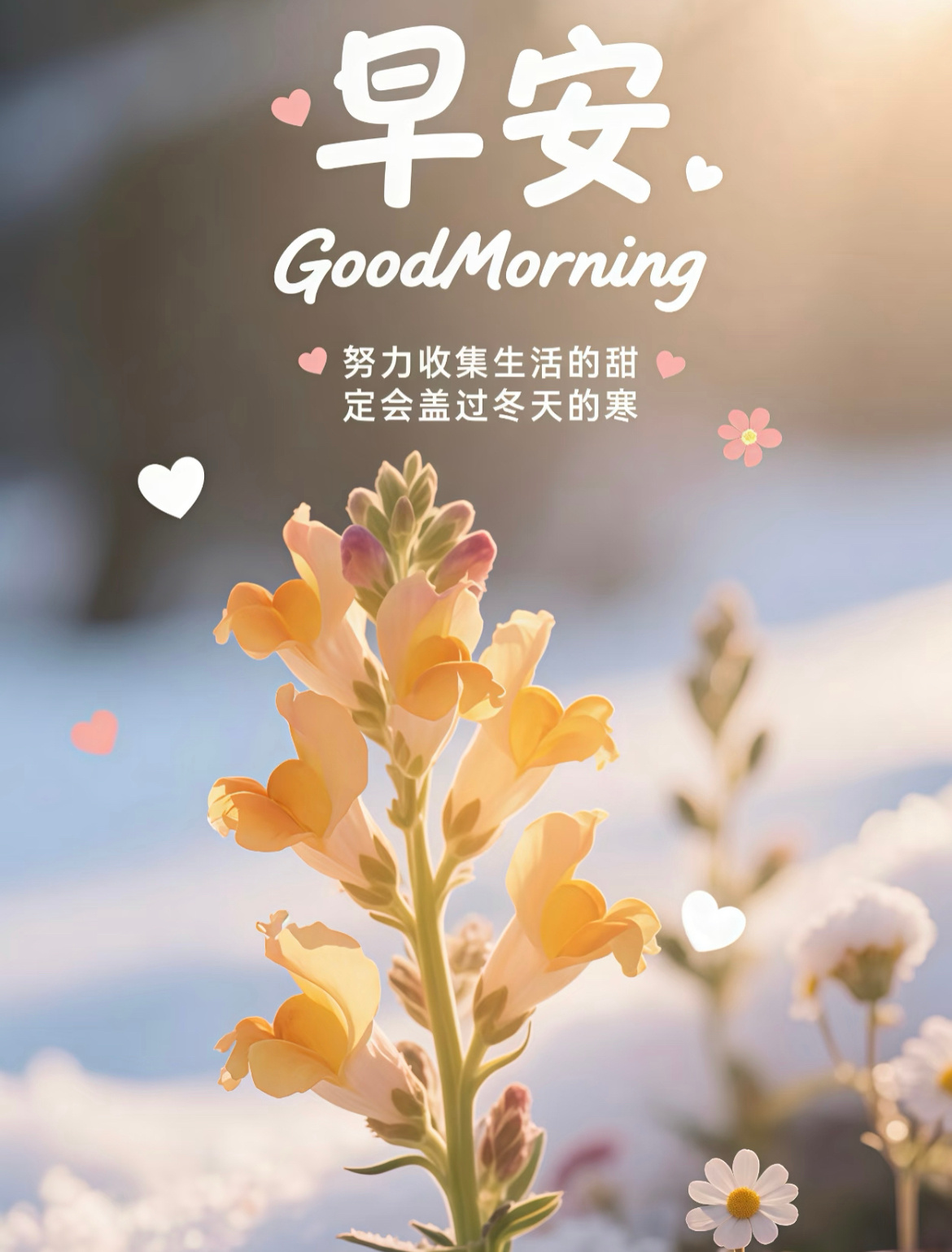 早安  活是枯燥的，快乐是自己给的，愿我们在鸡零狗碎的日子里，都能找到闪闪发光的