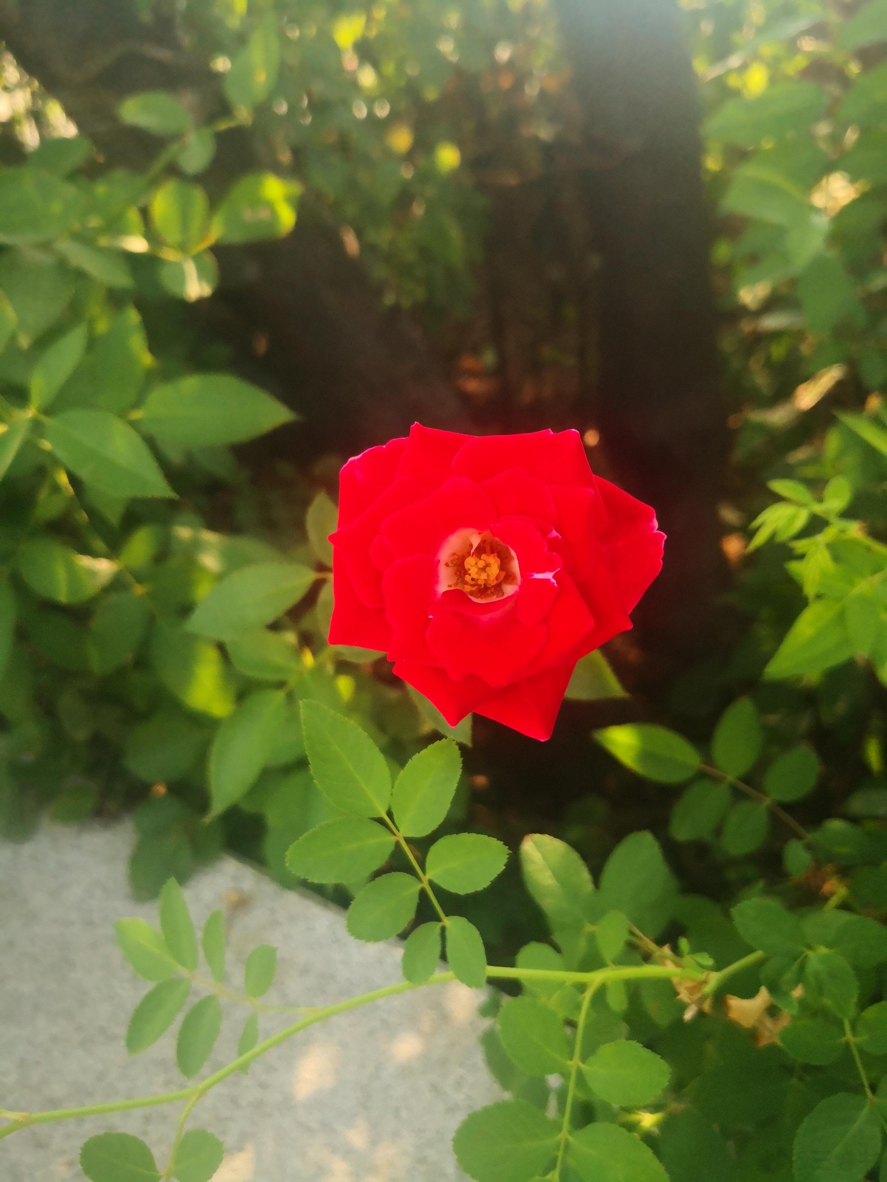 记住一点，不要怕吃亏，也不要怕别人的言语刺激，先做个“傻子”就好。当你能做个傻子