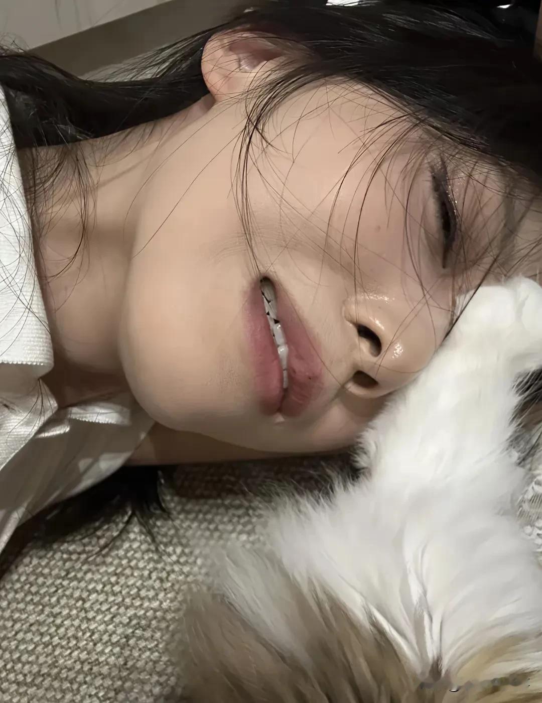 前男友的猫就知道惹我哭