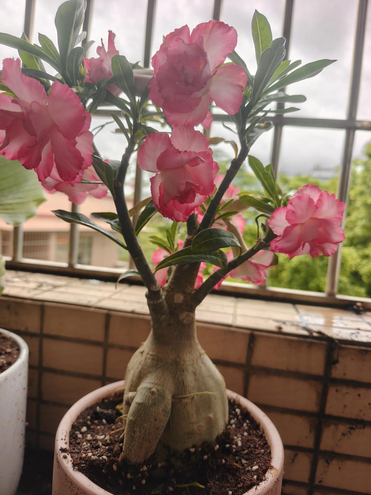 发一张图片，让我猜出你在哪里拍的既然你想猜我在那里，我就发一张图片让你猜吧，你如