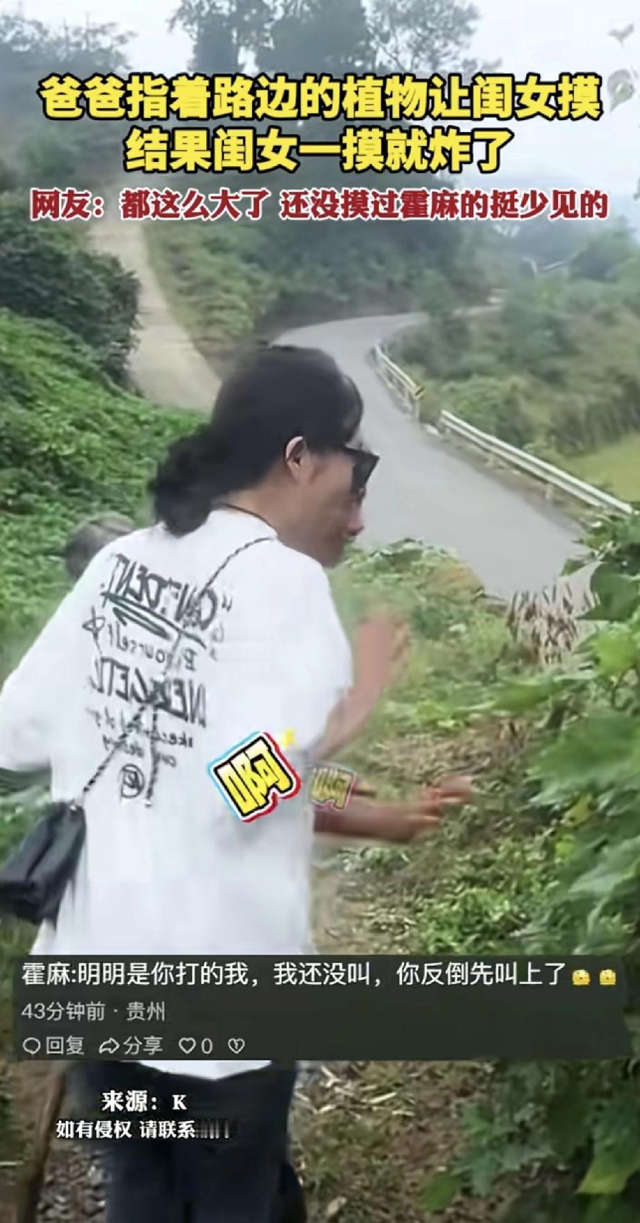 这位爸爸也太“坑娃”了！他指着路边的霍麻（一种会扎人的植物）让女儿摸，结果闺女一