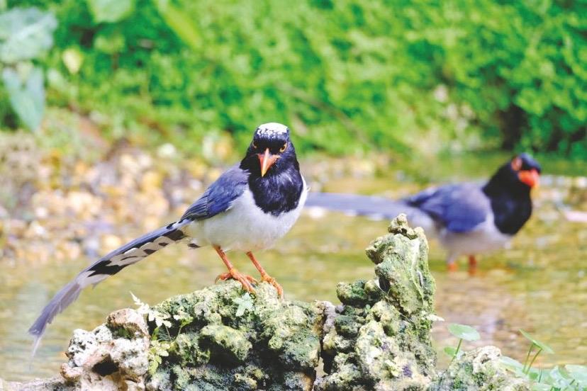 去赴一场春天的约，把日子过得温柔又鲜活。

晒一晒暖阳，吹一吹微风，
看花开满枝