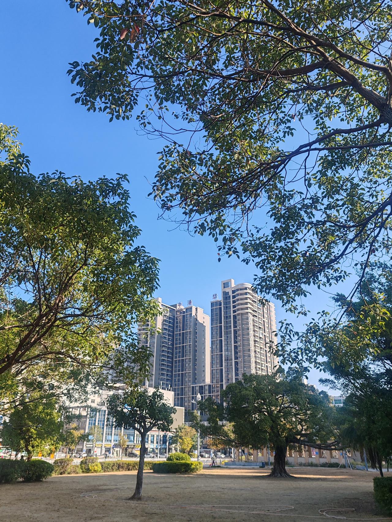 广西人讲的白话能不能称之为粤语我认为可以称为粤语。粤语又叫粤方言、广东话、广府话