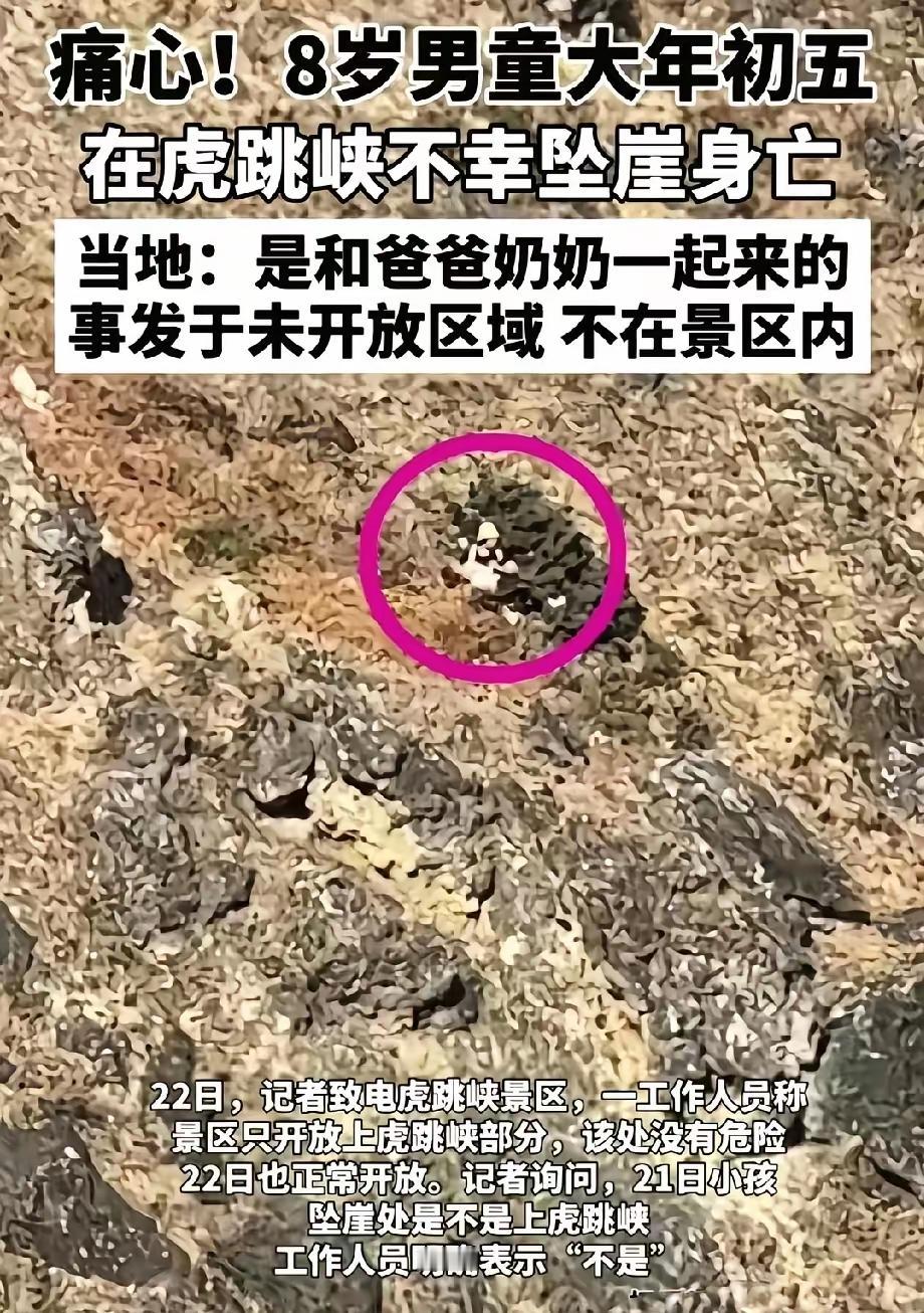 2026年大年初五（2月21日），云南迪庆州虎跳峡附近发生一起坠崖事故，一名8岁