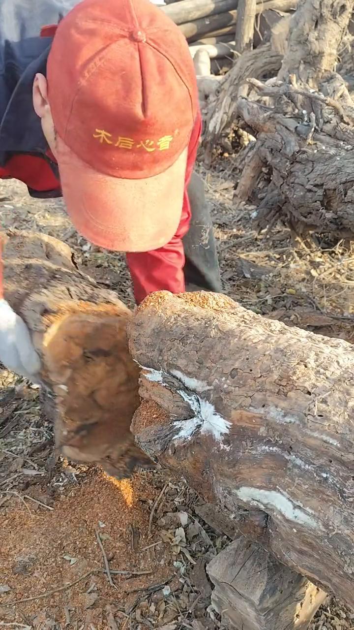 看看枣木锯开的断面是不是你曾见过的样子？
木石心音·河北沧州原生态茶桌花架摆件。