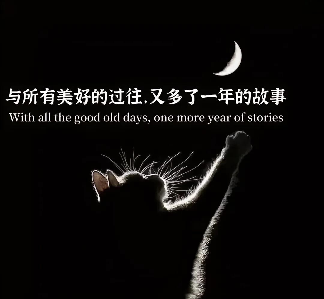 随手记录➕随手提问，
善假于物于AI工具，不管研发还是业务，
机会只会越来越大。