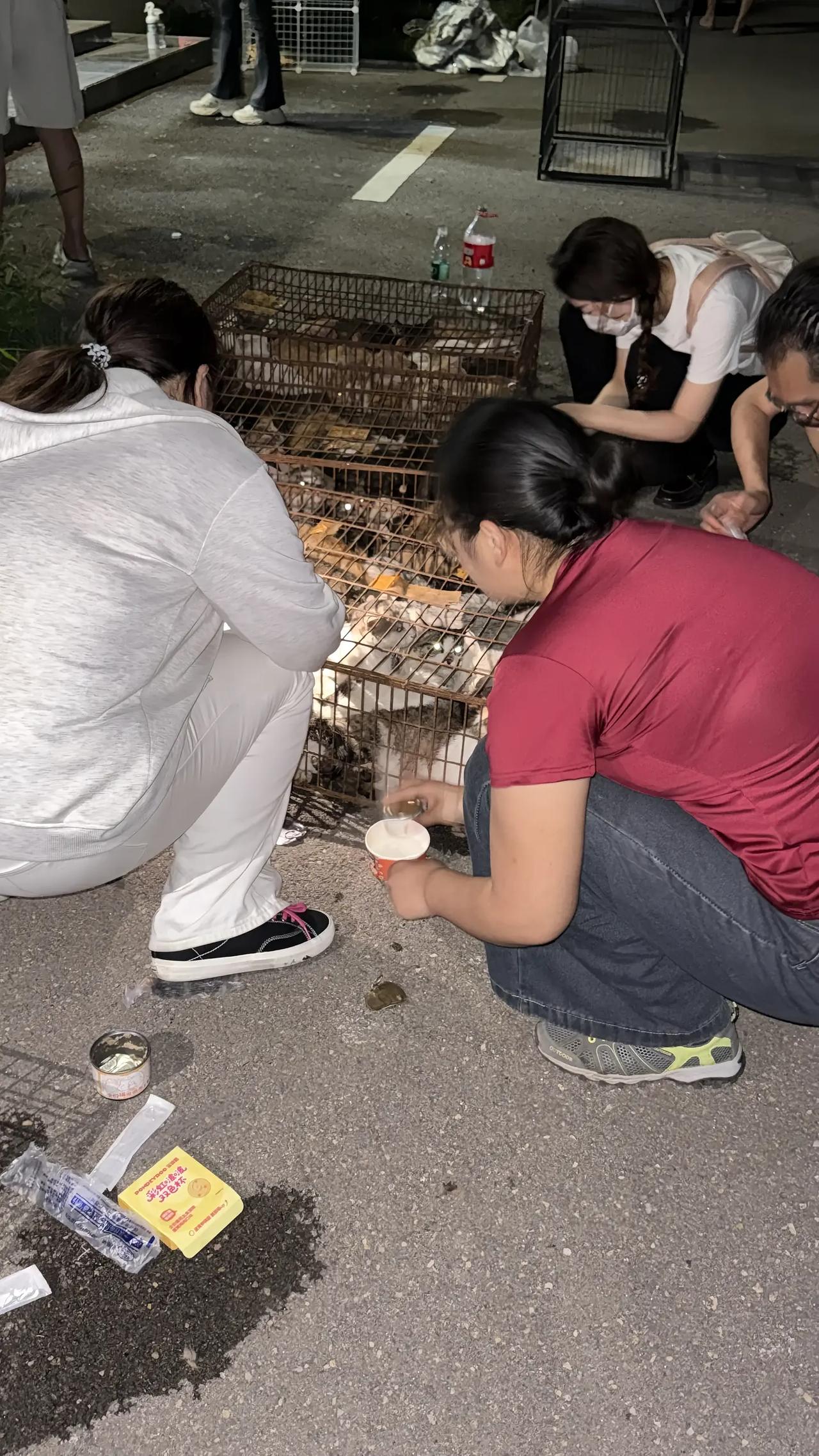 这段凄美感人的视频画面，发生在上周五的一个傍晚，在湖南交界处的某个隐秘山坡里面，