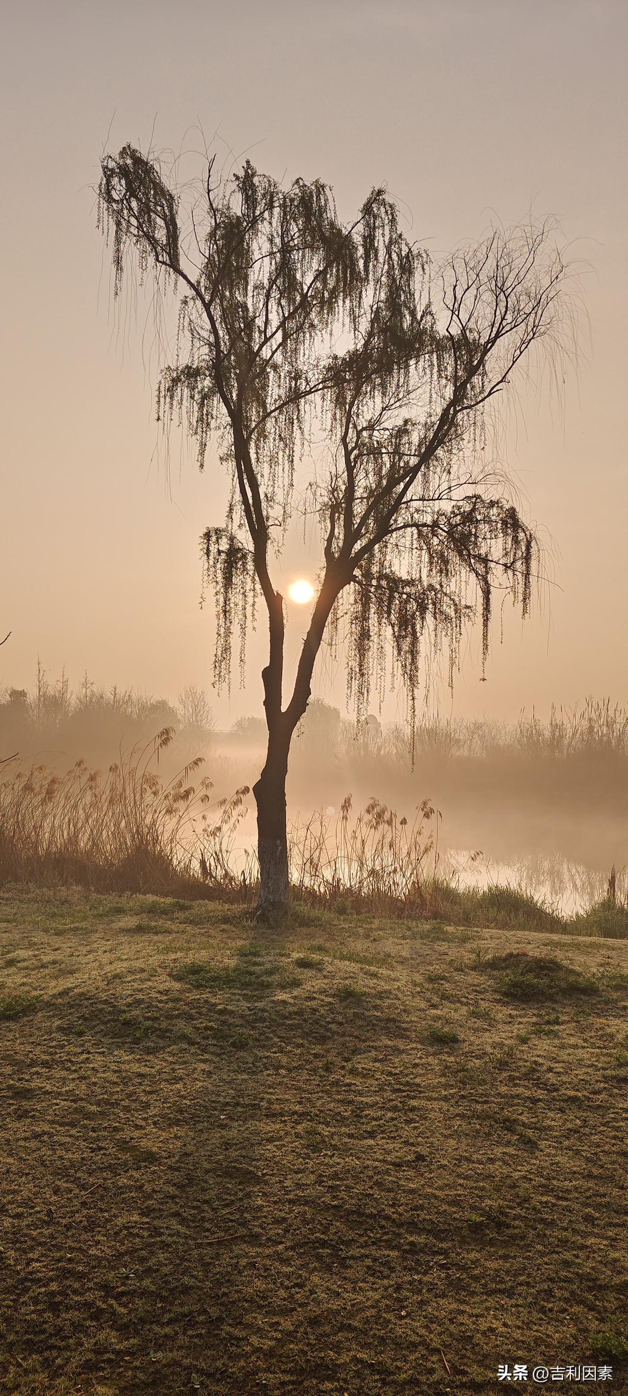 县（市）一把手为何成为腐败高风险岗位？
老家的前任领导被请进去喝茶了。一批人为之