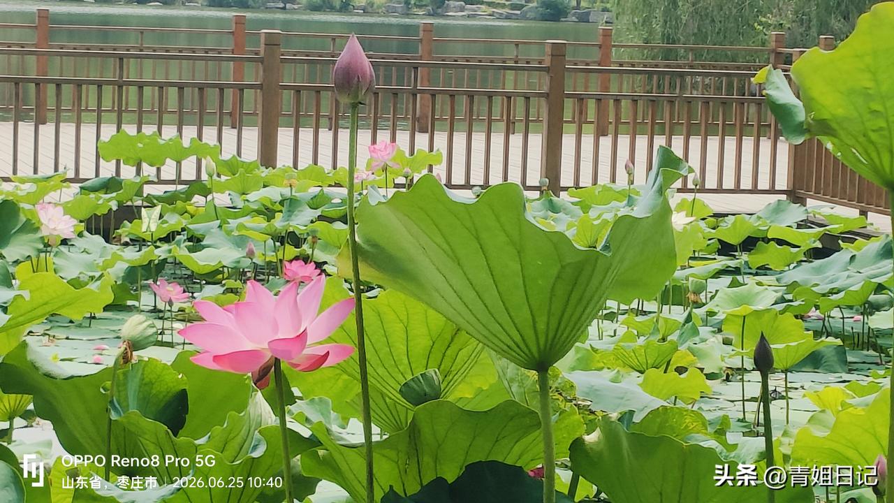 生活就像一间堆满杂物的房间，账单、加班、柴米油盐，乱七八糟地挤在一起，有时候连落