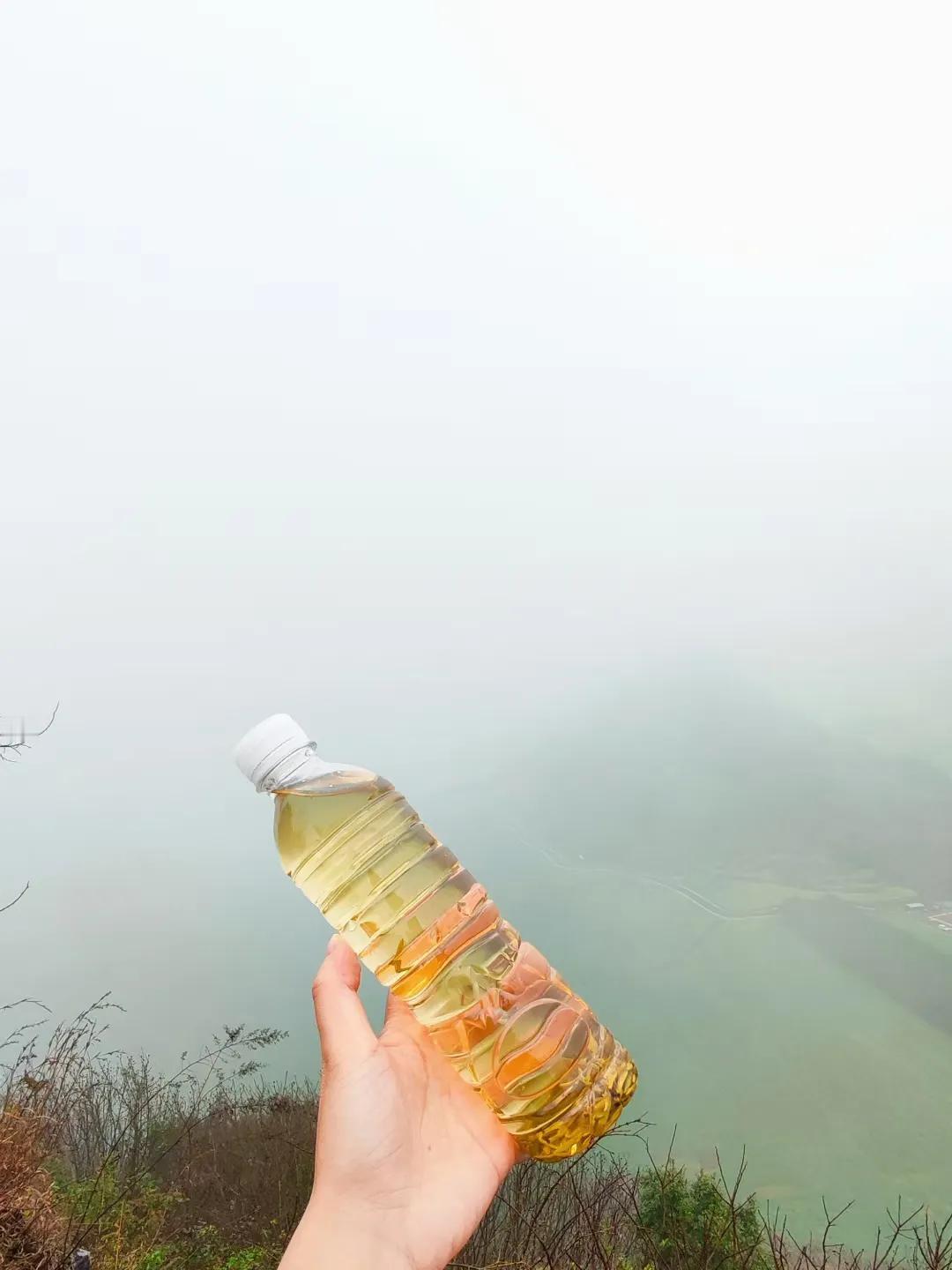 春风有信
花开有期
​～
身边有花香
人间～泛着光
​
以前花是礼物
现在花是生