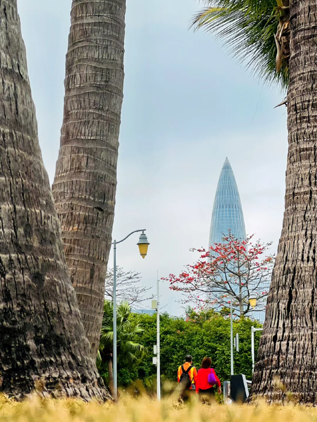 深圳丨每周都要去的公园