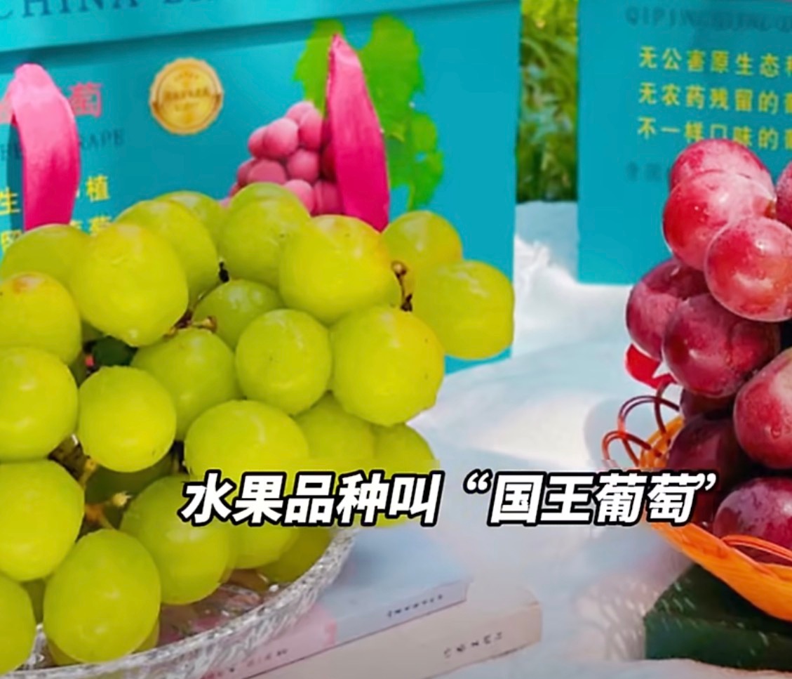 葡萄330草莓360元一斤网友惊呆？？？三百多一斤吗？这比年前的车厘子，还吓人，