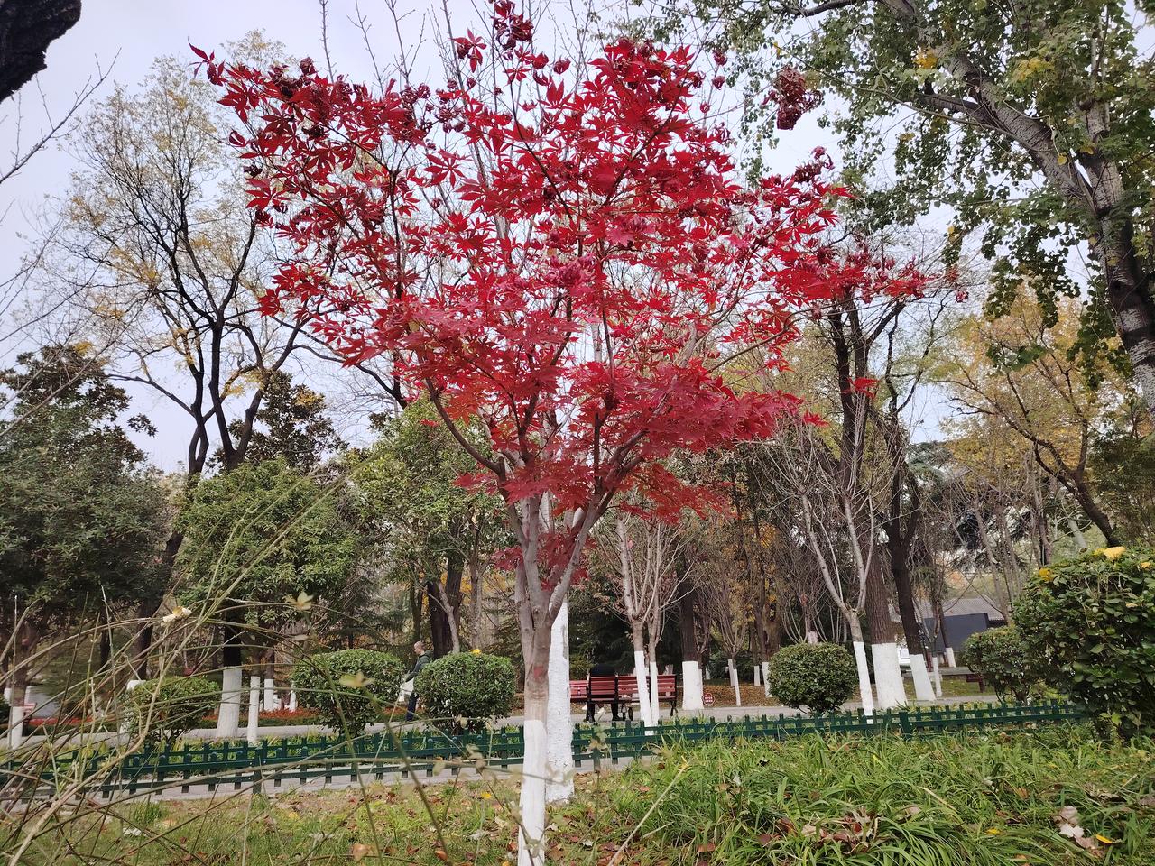 贺孙老师从教四十载及寿诞
尊敬的孙老师：
祝贺您从教四十载，祝你寿诞也到来，满怀