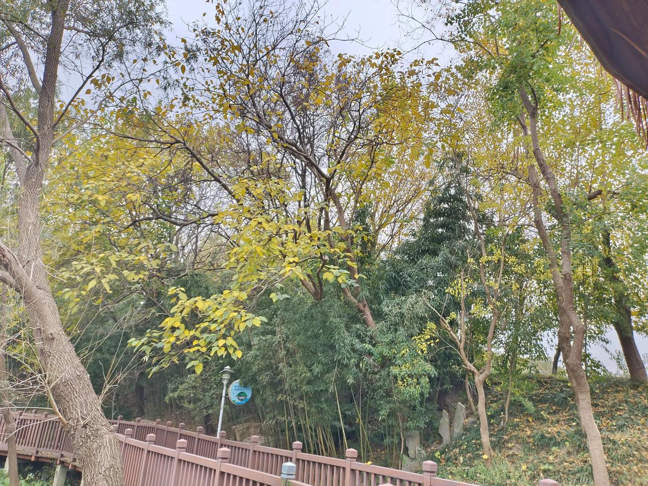 任何让你不舒服的人和事都不要参与，坦坦荡荡，清清白白做人，才是你幸福的根本！
