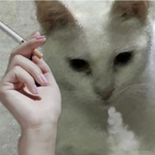 妈的太贪心了一下子看完了，payback也快要结束了，我的人生在这个暑假短暂的完