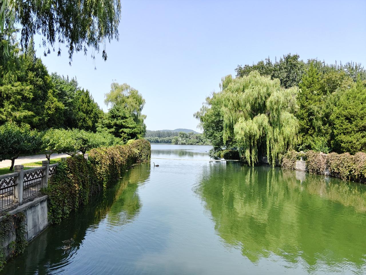 话说昨天从北坞公园出来，觉得还有体力，就直接进了斜对面颐和园西门。沿昆明湖与团城