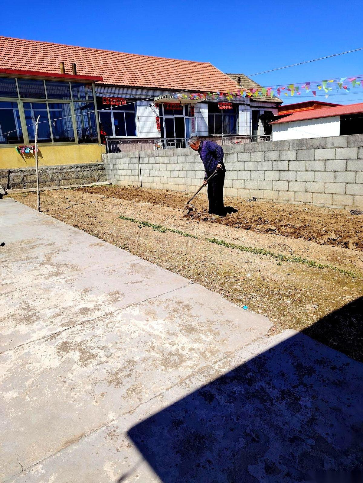 我妈那个老头儿，80了，开着他的小三轮就杀过来了。
话都没多说一句，车斗里家伙事