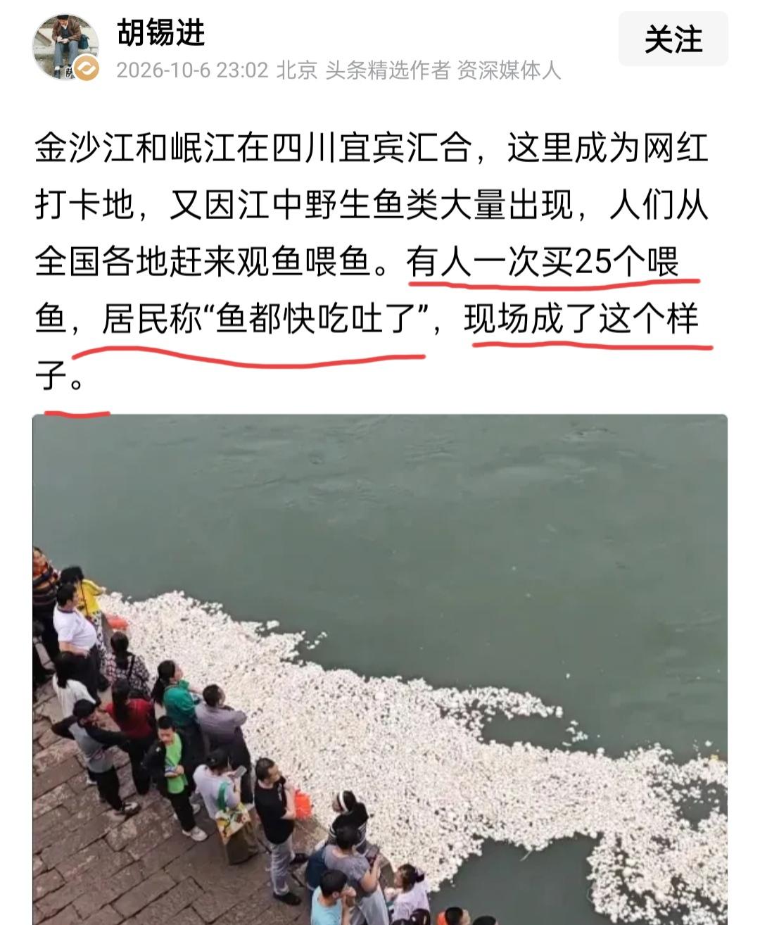 胡锡进评价馒头喂鱼。10月6日晚上，媒体人胡锡进谈到了宜宾合江门游客用馒头喂鱼一