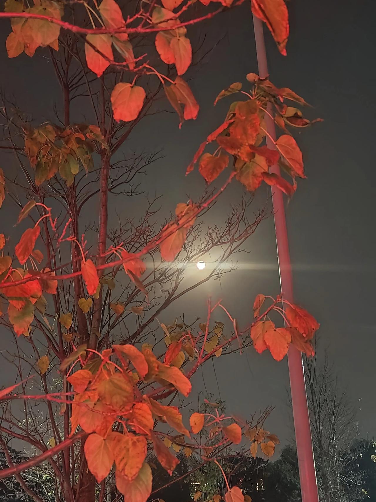 反正都不好就业，还不如喜欢什么就学什么。
说出这句话的，才是真正的人间清醒。
现