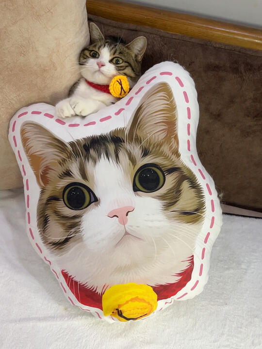 养到现实版哆啦A梦啦～