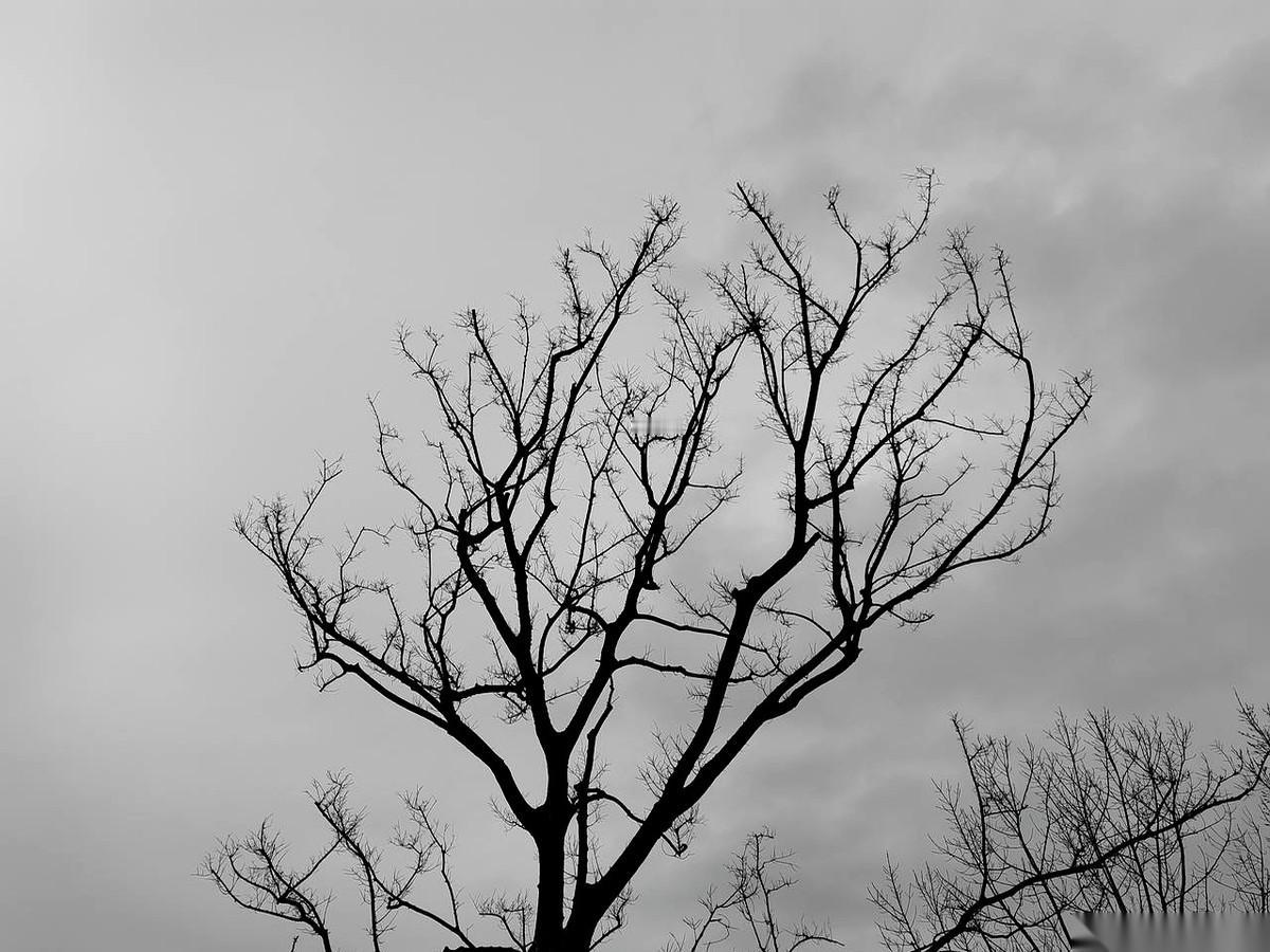 那天跟一个挺牛的人吃饭，桌上见着了好几个平时只能在电视上瞅见的人。
推杯换盏，吹