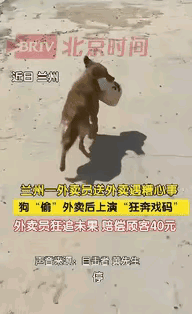 “这可倒大霉了！”甘肃兰州，一外卖员送完餐下楼，发现车把上挂的烤鸭外卖被小狗叼走