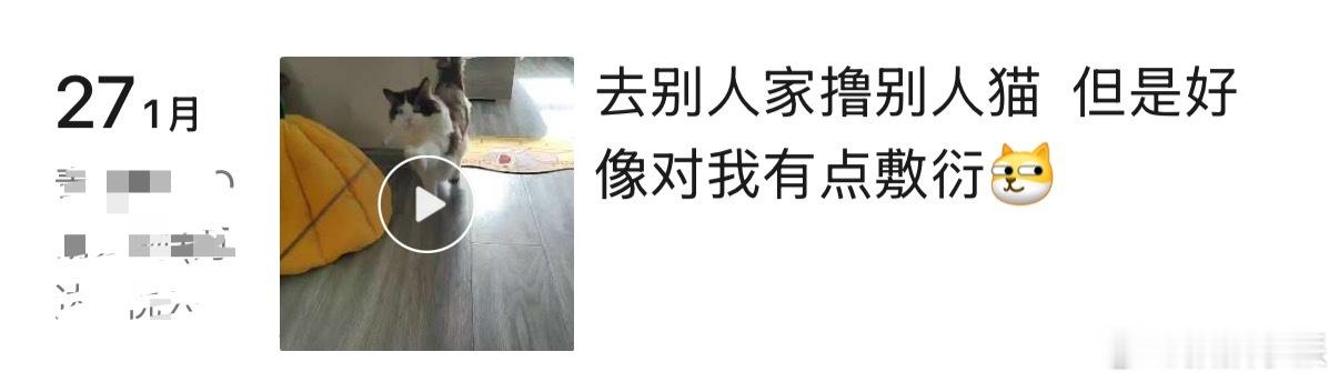 突然想起过年的时候给家里毛孩子找了上门喂养，结果店长说上门喂猫一小时没找到客户。