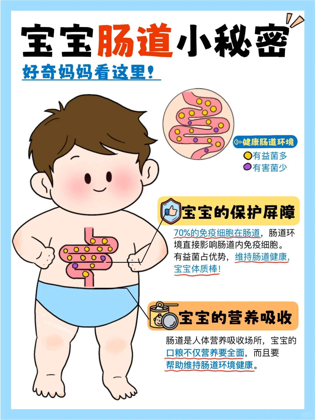 宝宝小肚肚里的秘密？好奇妈妈看这里