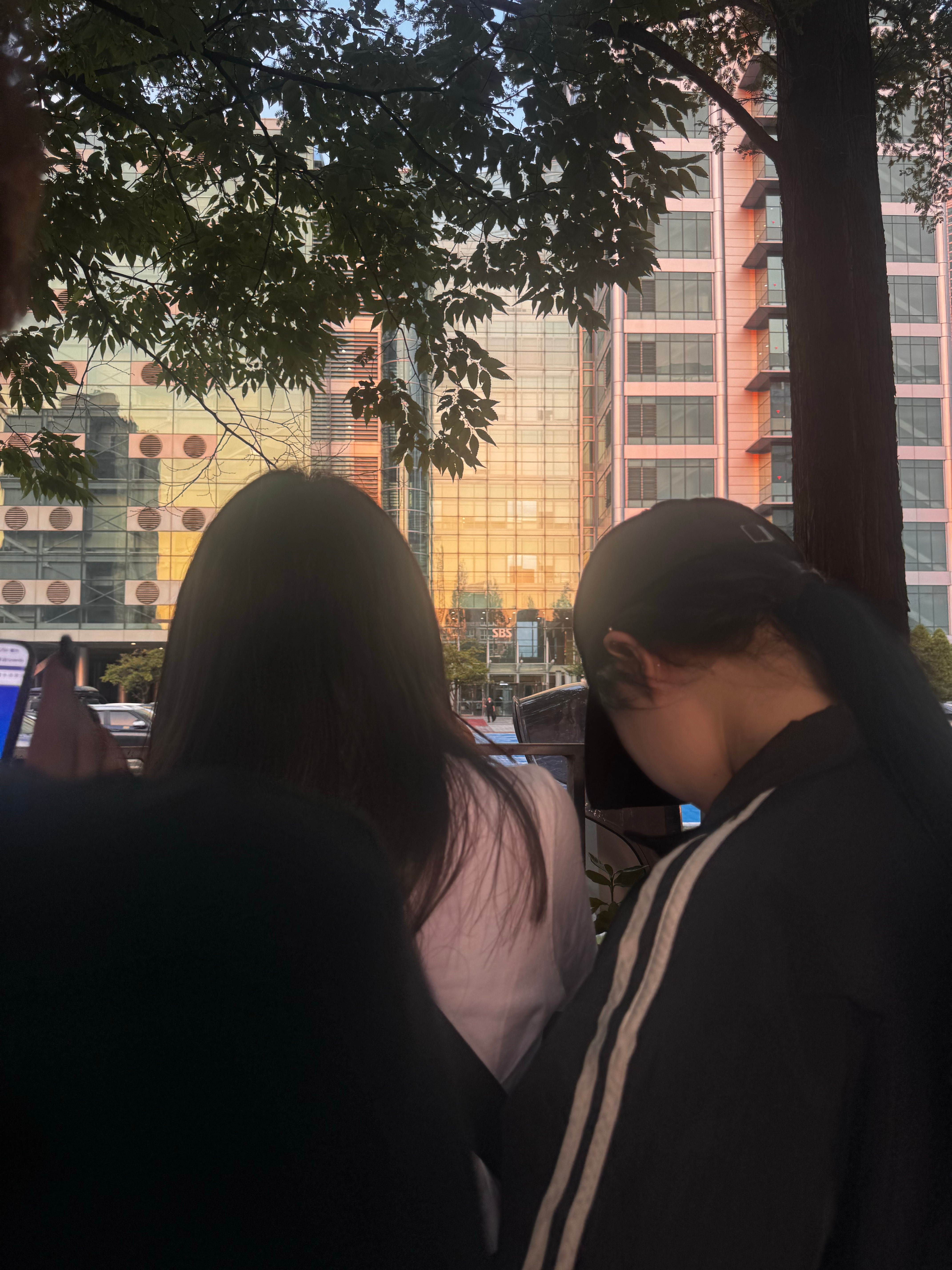 没见过命苦的 可以来SBS接上班 