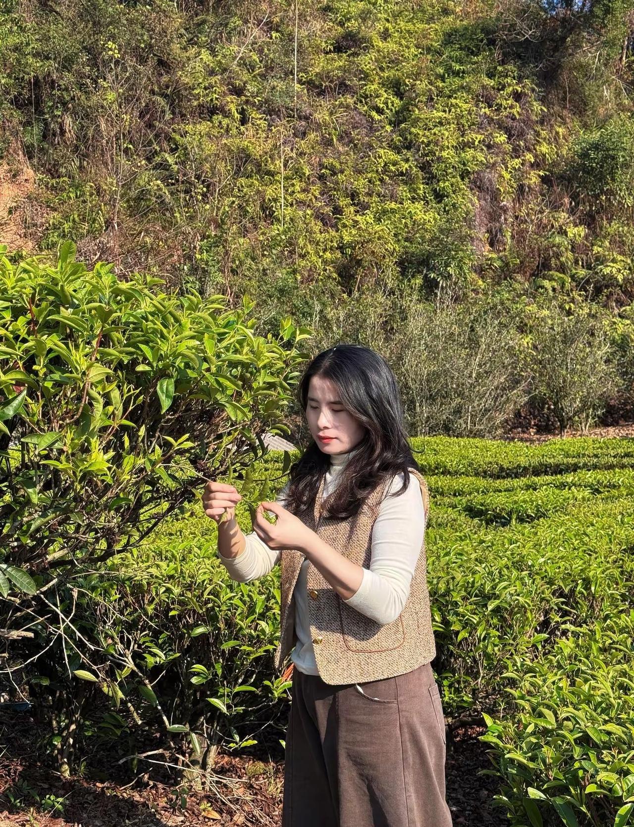 把美好收藏，与热爱并往，不问花开几许，只愿岁月无恙