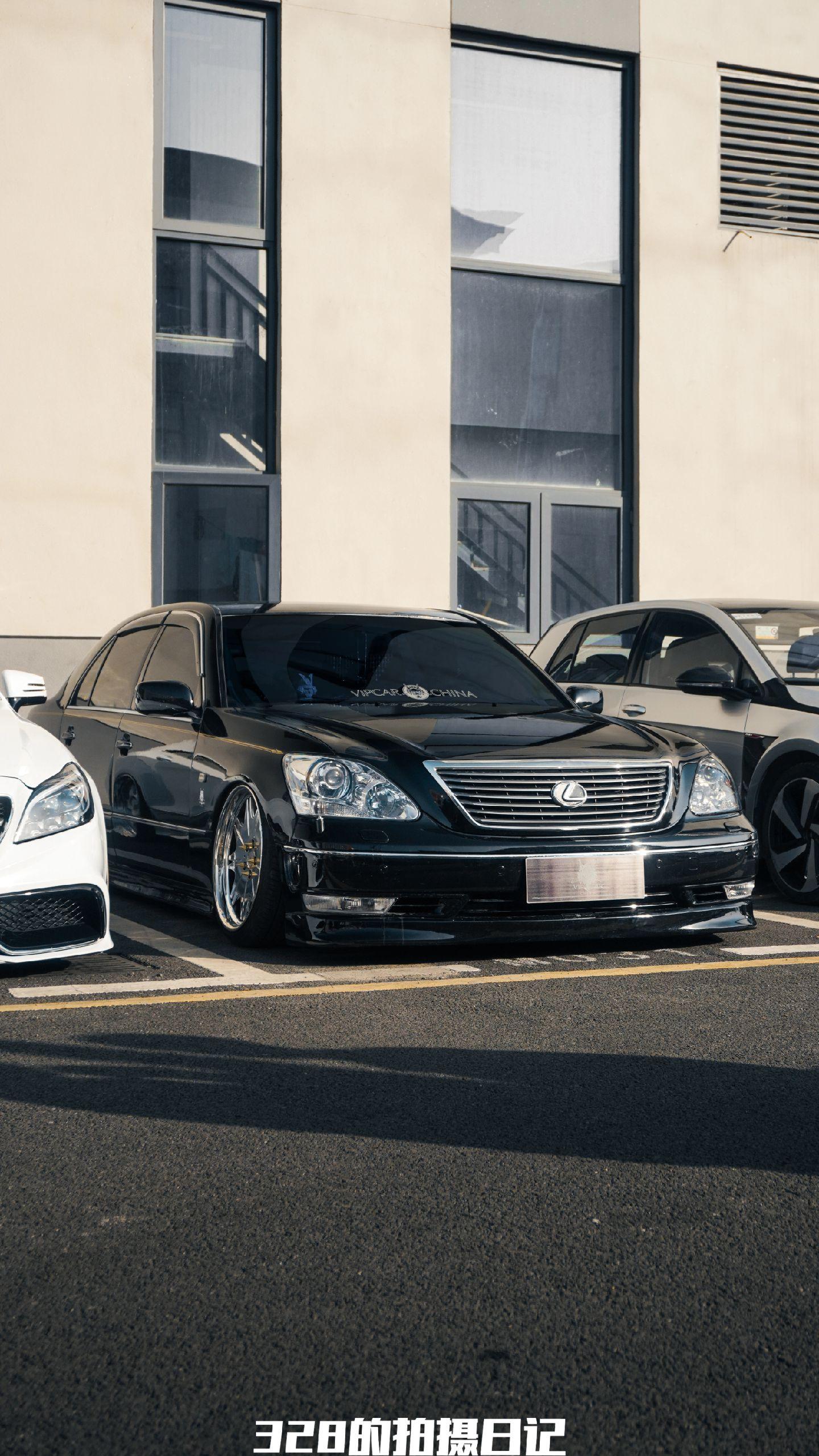 VIPcars.极致的姿态