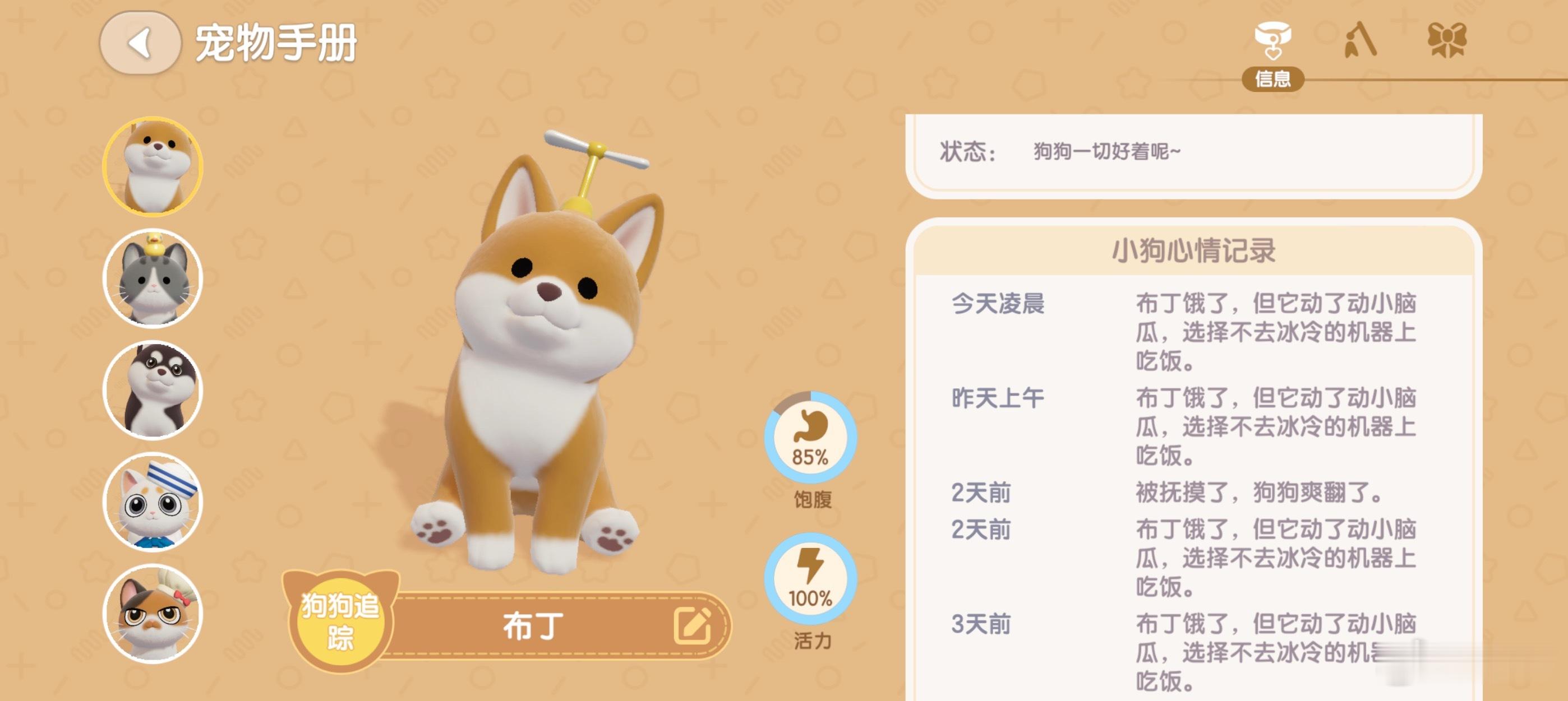 心动小镇上养的啥猫啥狗，喂食器有食物不去吃，每次上线都是饿着来找我