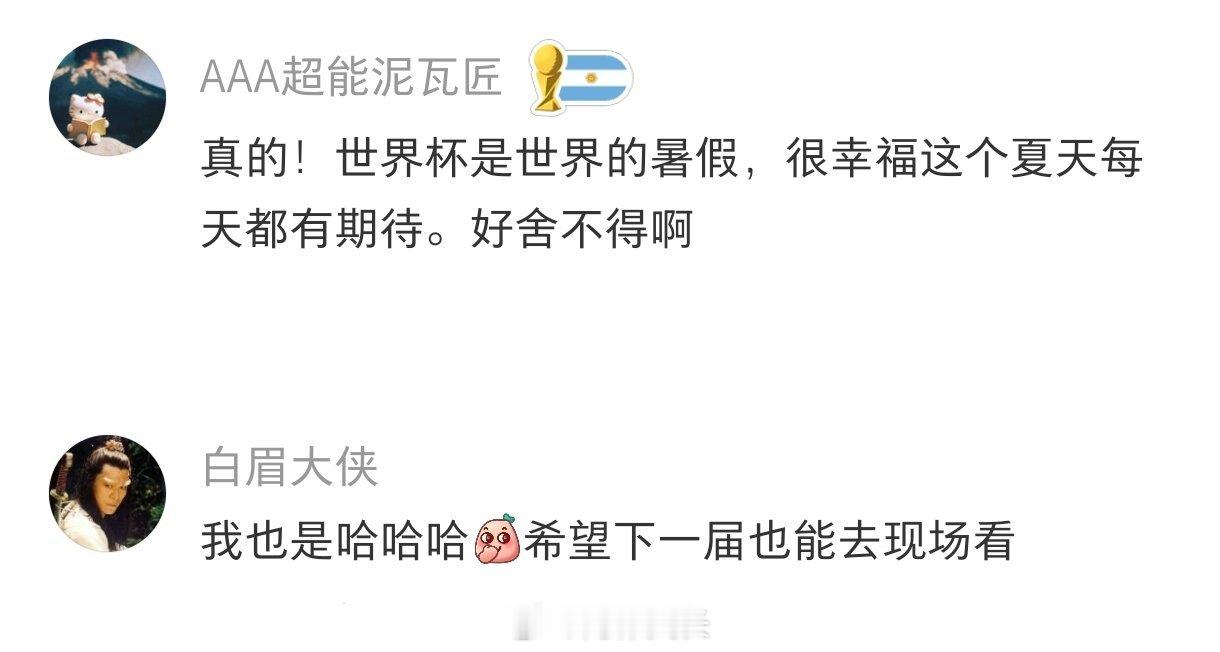 世界杯的后劲太大了暑假冲浪计划非正经观战世界杯