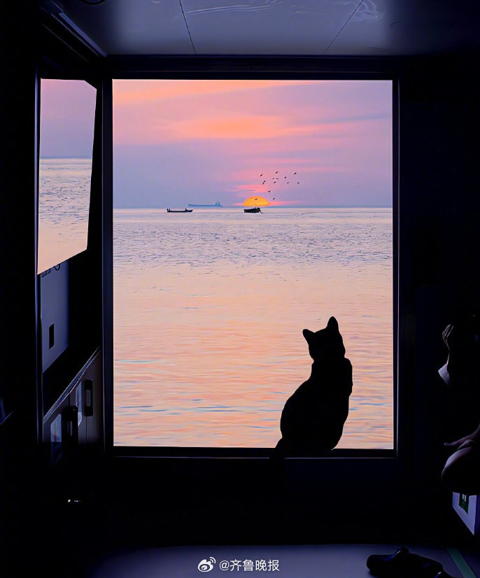 #早安# 过自己喜欢的生活，不焦躁，不焦虑，成为那个美好的自己。 