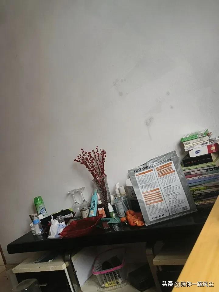 一个独居中年女人的书房一角：书自然是必不可少的一部分，虽然现在每天玩头条，刷手机