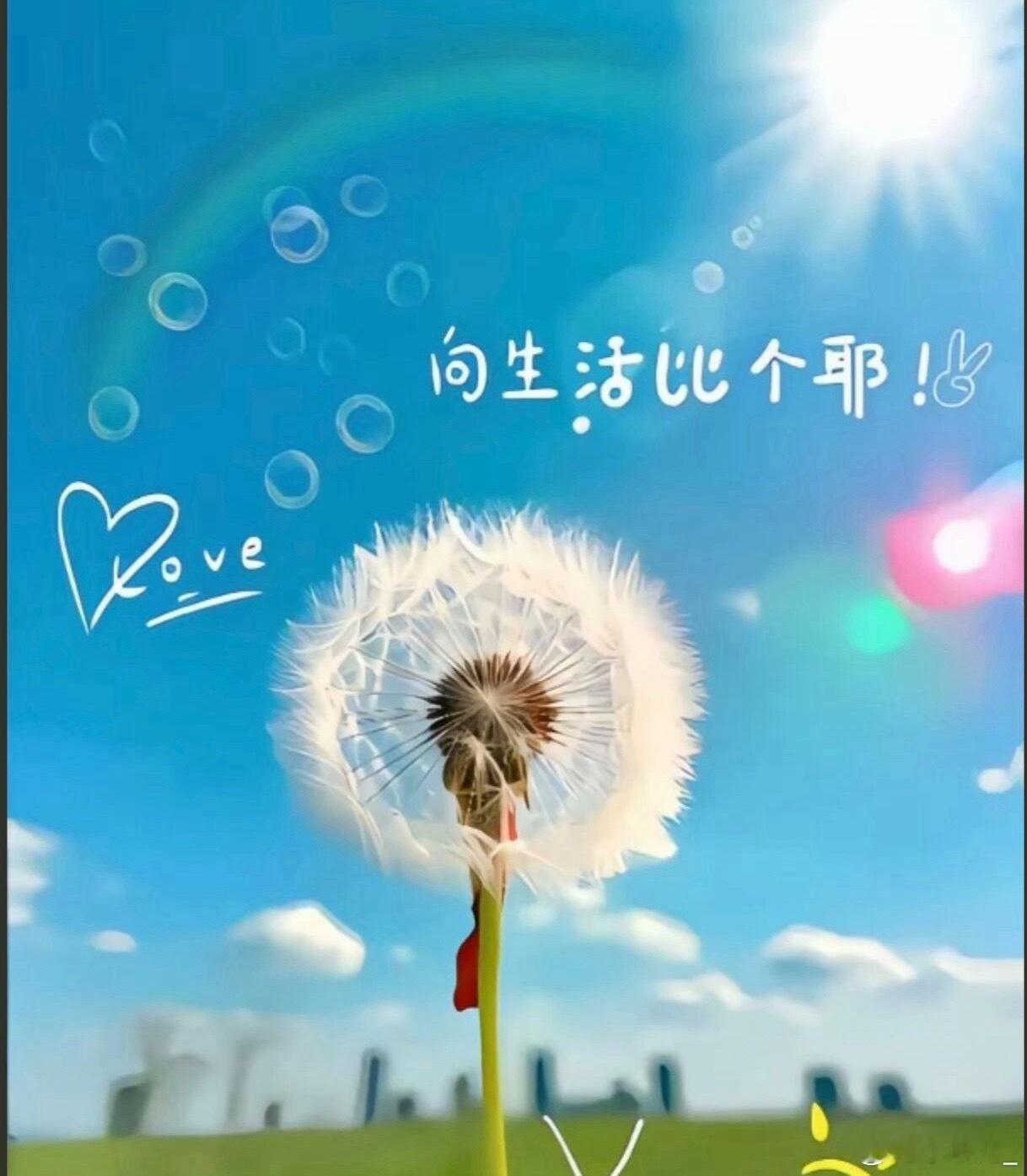 人生向美，要懂得与生活相互成全去真实地生活，从容地接住每一个自己那些抓不住的强求