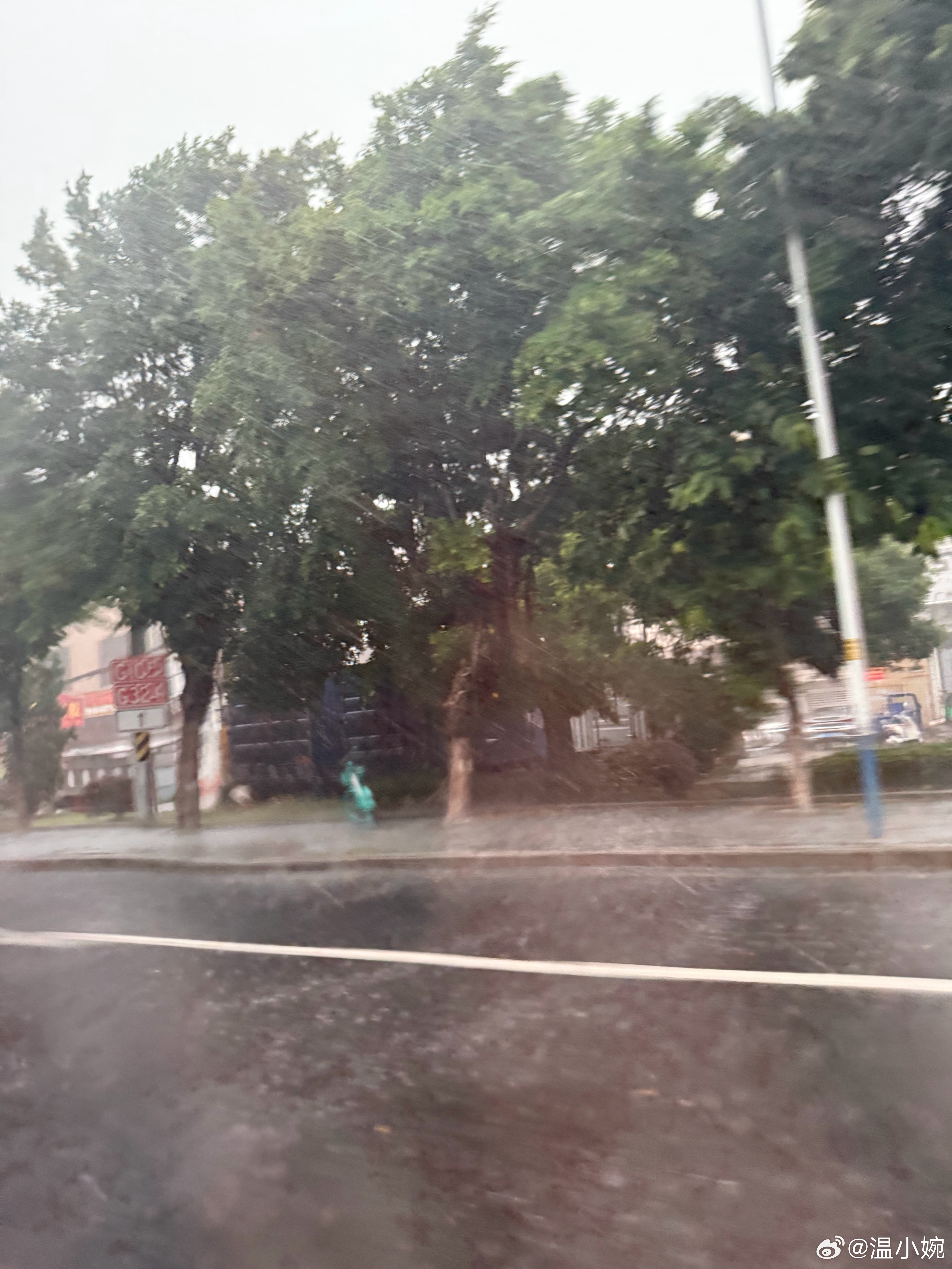 暴雨如泼，幸好猫猫老师跟着来了不然我抱着孩子叫车都困难姐麻醉劲儿还没有完全醒上车