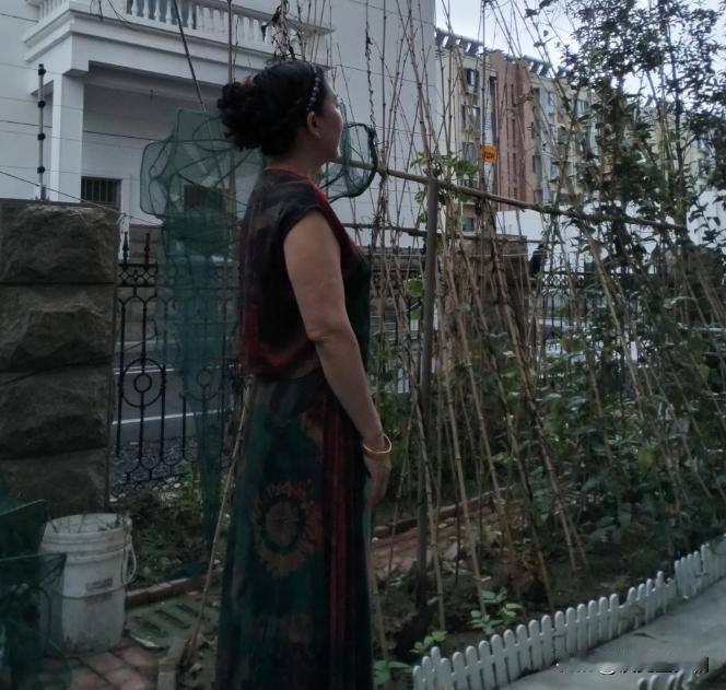 我和老伴，是媒人介绍的，没有谈过恋爱就结婚了。从年轻时候感情就不好。他的性格很偏